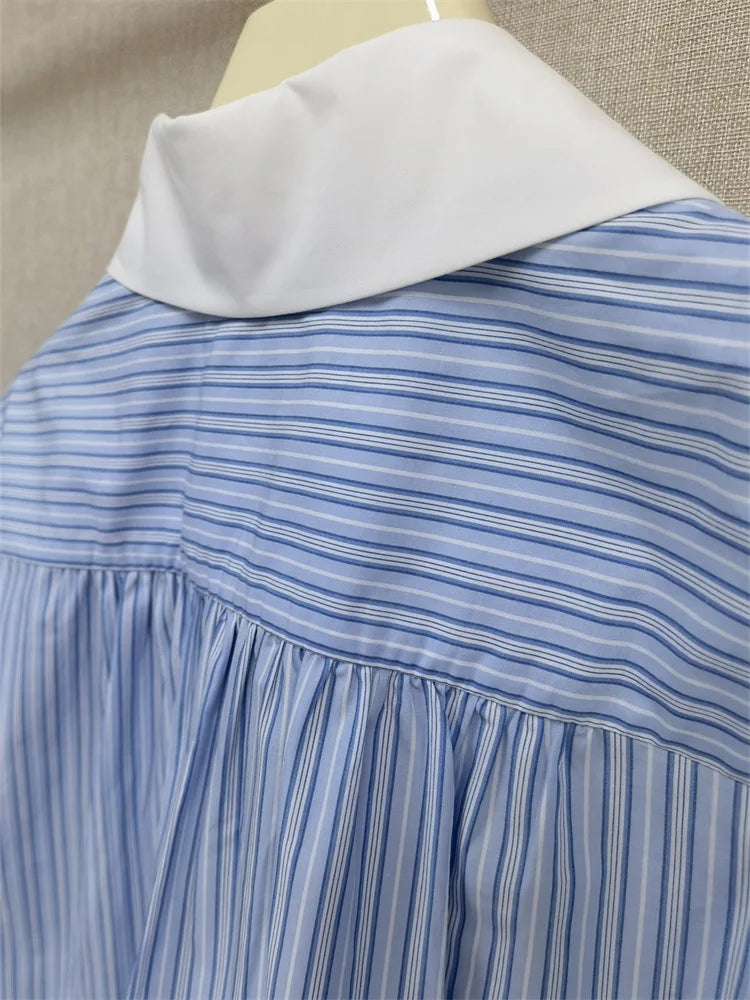 Blue Striped Shirt